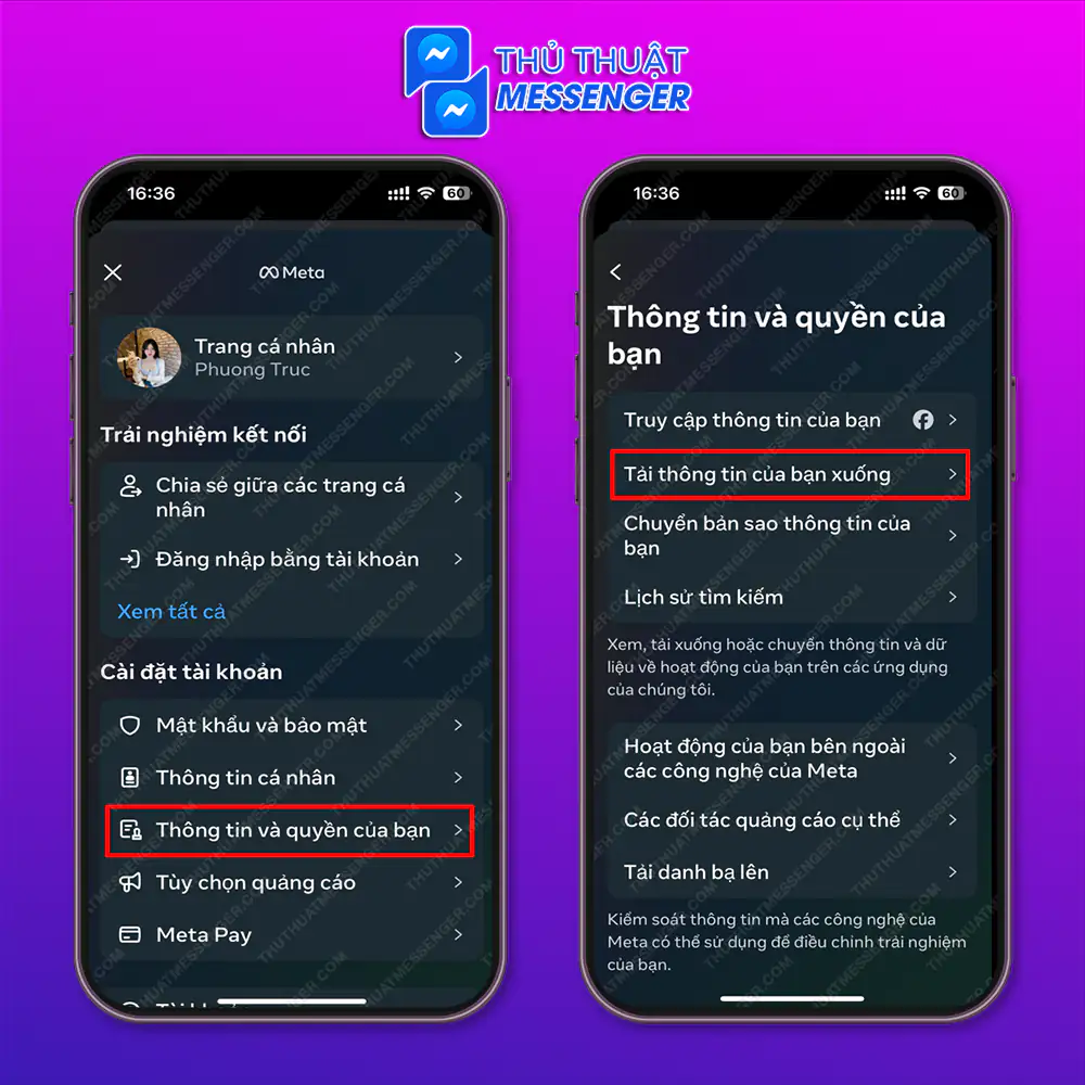 Bước 3: Chọn “Thông tin và quyền của bạn” > Chọn “Tải thông tin của bạn xuống”.