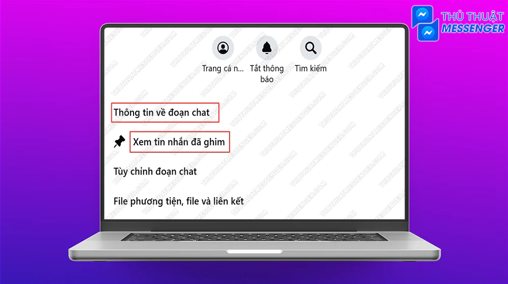 Bước 2: Chọn Thông tin về đoạn chat > Chọn Xem tin nhắn đã ghim.