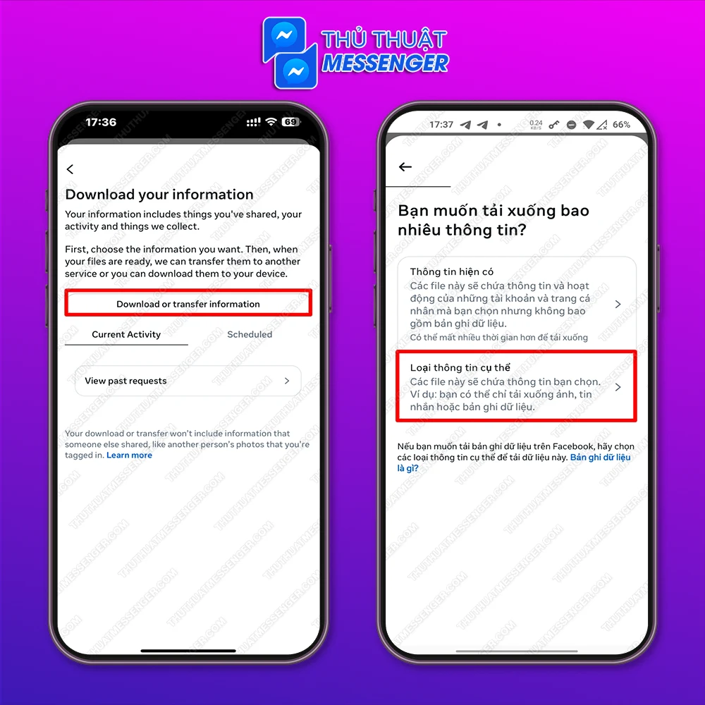 Bước 3: Chọn Tải xuống hoặc chuyển thông tin > Chọn Loại thông tin cụ thể