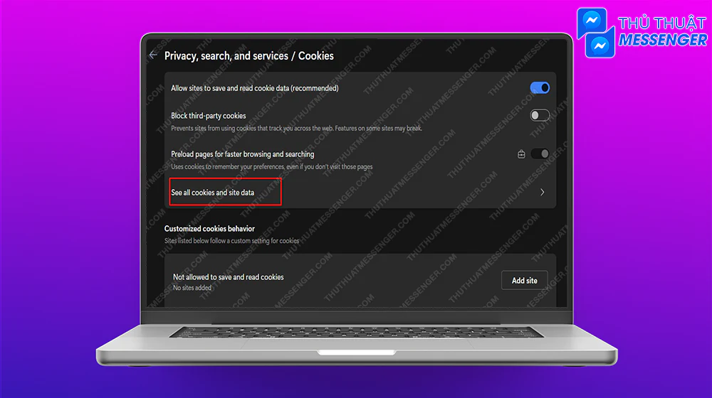 Bước 3: Chọn xem tất cả cookies và dữ liệu site