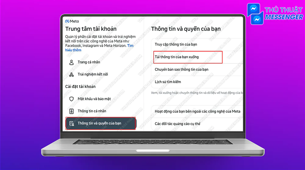 Bước 4: Thông tin và quyền của bạn > Tải thông tin của bạn xuống.