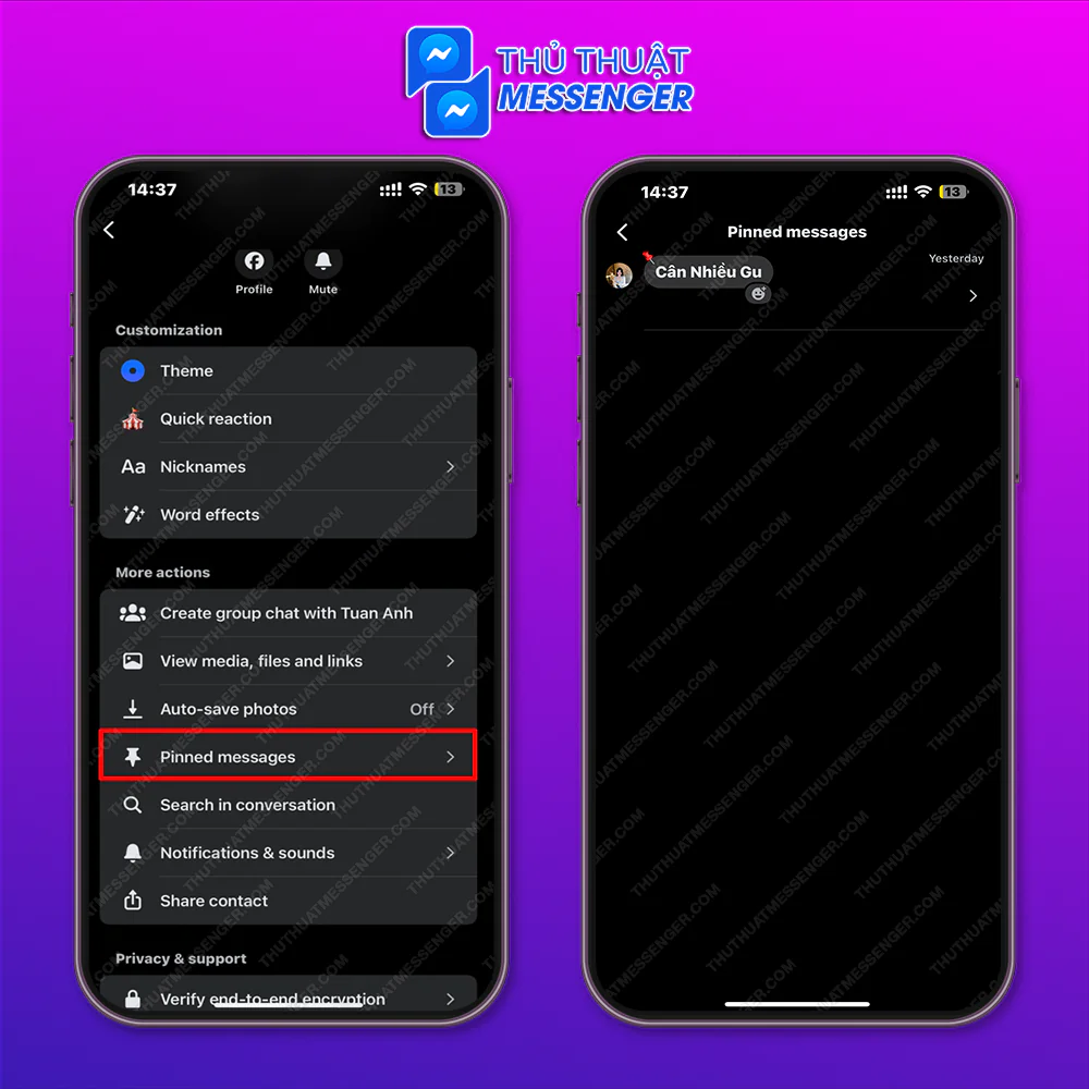 Tin nhắn đã ghim được lưu trữ tại đâu?