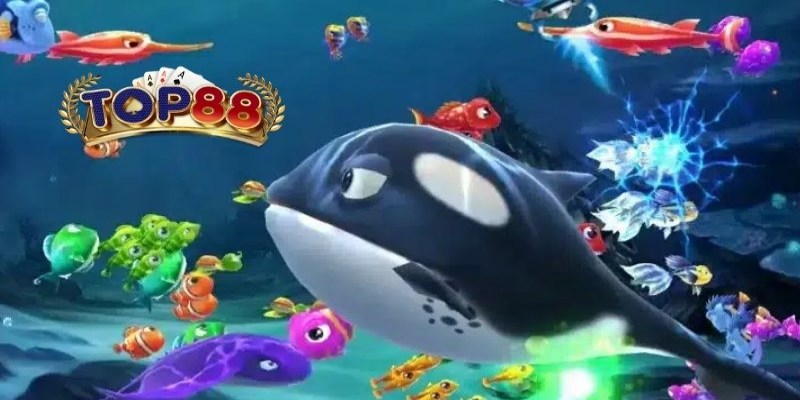 Sảnh bắn cá Ku88 là gì