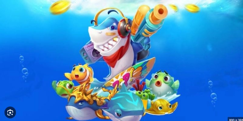 Các bước tham gia bắn cá Vip79 dễ hiểu, nhanh chóng